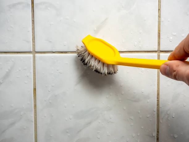 Best Attic Mold Removal  in Bensenvle, IL